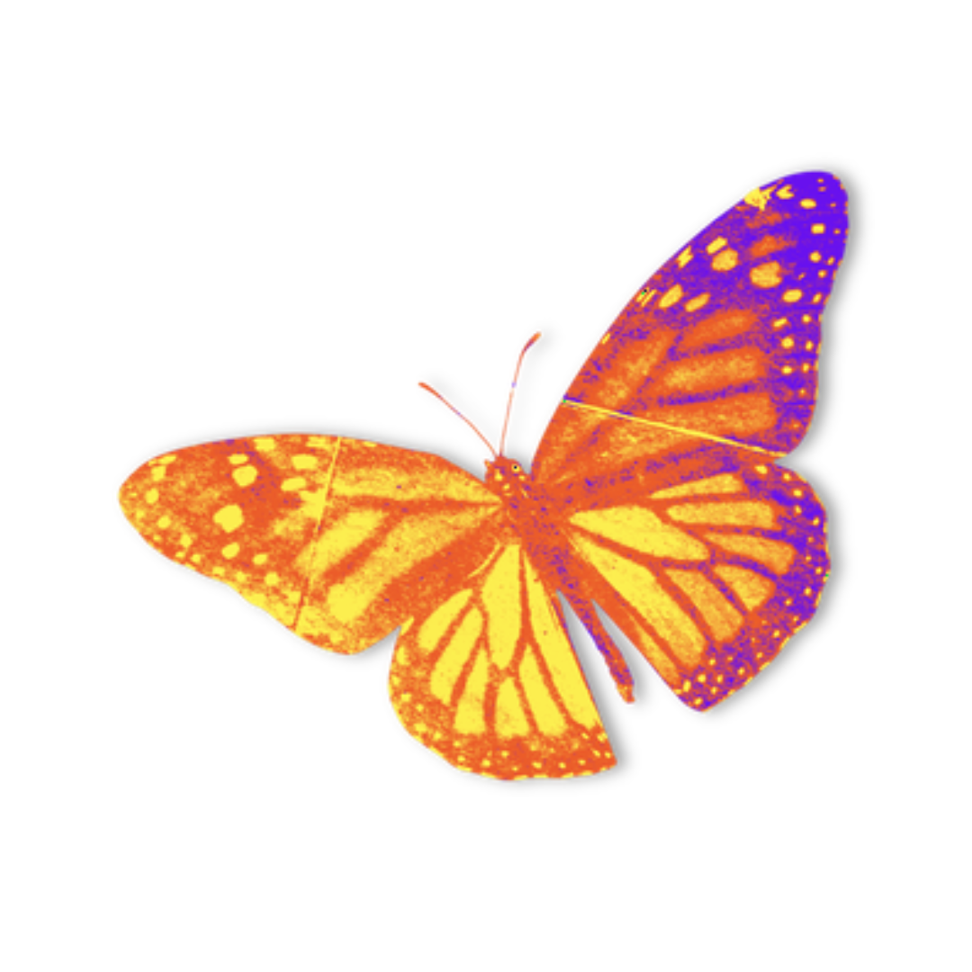 Facilitated narrative strategies with over 10 nonprofit groups